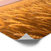 Golden Wheat Field at Pastel Sunset Landscape Poster (Hoek)