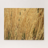 Golden Wheat Fields - 16x20 - 520 pcs. Legpuzzel (Horizontaal)
