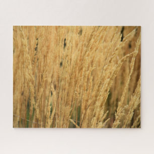 Golden Wheat Fields - 16x20 - 520 pcs. Legpuzzel
