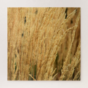 Golden Wheat Fields - 20x20 - 676 pcs. Legpuzzel