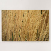 Golden Wheat Fields - 20x30 - 1014 pcs. Legpuzzel (Horizontaal)