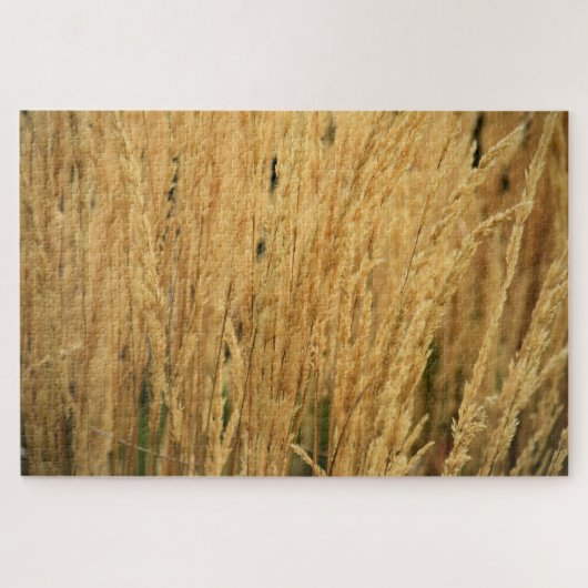 Golden Wheat Fields - 20x30 - 1014 pcs. Legpuzzel (Horizontaal)