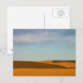 Golden Wheat Fields in Palouse Briefkaart (Voorkant / Achterkant)