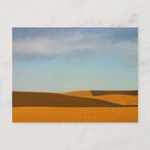 Golden Wheat Fields in Palouse Briefkaart