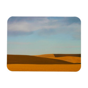 Golden Wheat Fields in Palouse Magneet
