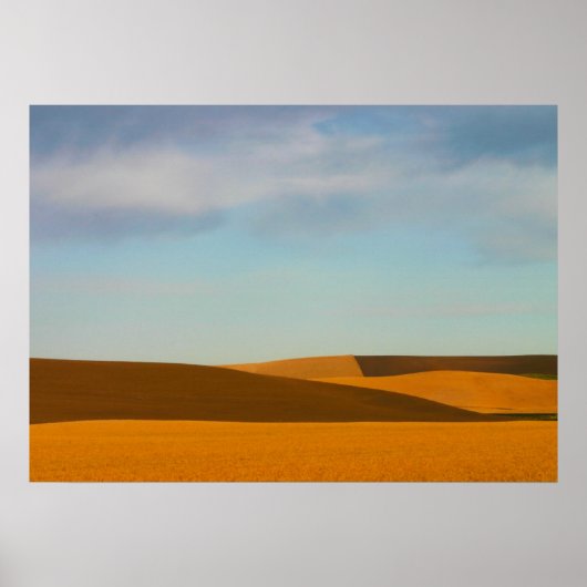 Golden Wheat Fields in Palouse Poster (Voorkant)