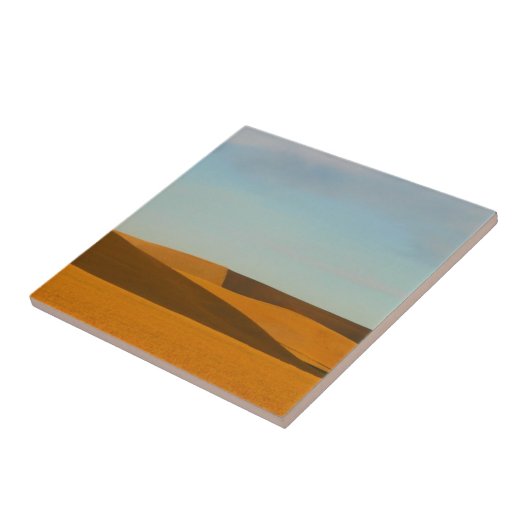 Golden Wheat Fields in Palouse Tegeltje (Zijkant)