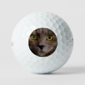 Golden Whiskers: een bruine kitten in olieverf Golfballen (Voorkant)