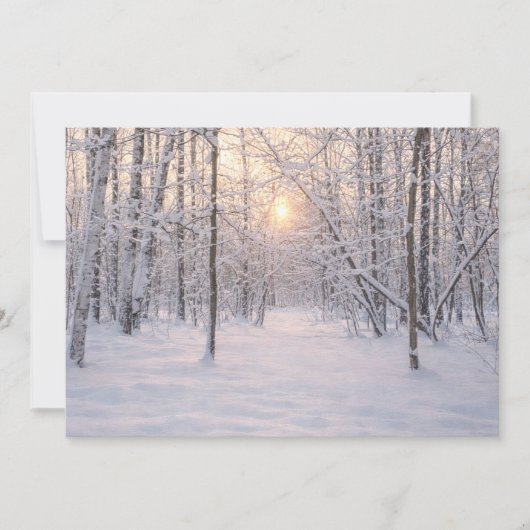 Golden_winter_light Kaart (Voorkant)
