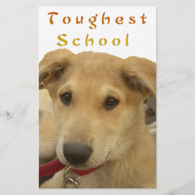 Golden Wisdom: een hondenoog Uitzicht van de schoo (Voorkant)