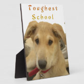 Golden Wisdom: een hondenoog Uitzicht van de schoo Fotoplaat (Zijkant)