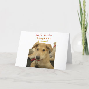 Golden Wisdom: een hondenoog Uitzicht van de schoo Kaart