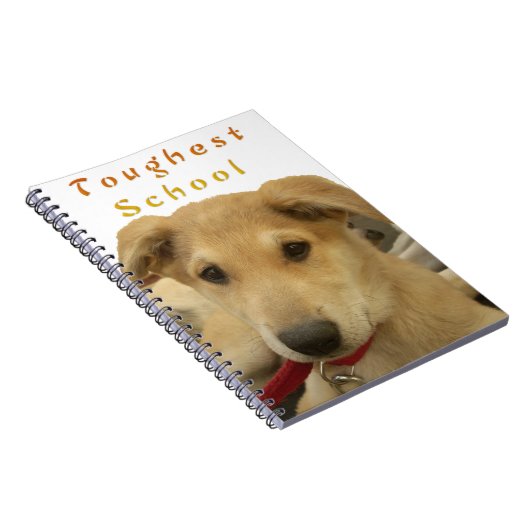 Golden Wisdom: een hondenoog Uitzicht van de schoo Notitieboek (Rechterzijde)