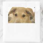 Golden Wisdom: een hondenoog Uitzicht van de schoo Rechthoekige Sticker (Tas)