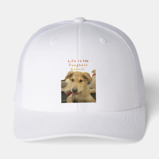 Golden Wisdom: een hondenoog Uitzicht van de schoo Trucker Pet