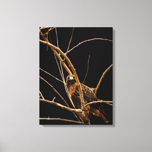 Golden Wrapped Canvas Afdruk (Voorkant)