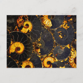 Golden yellow black fossil Nautilus Briefkaart
