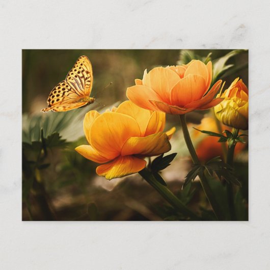 Golden Yellow Butterfly Briefkaart (Voorkant)