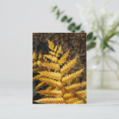 Golden Yellow Fern Fall Leaves Foto Briefkaart (Staand voorkant)