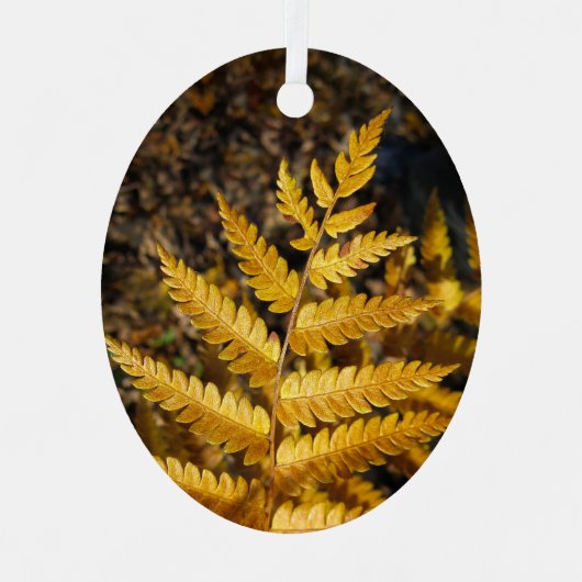 Golden Yellow Fern Leaves Metalen Ornament (Voorkant)