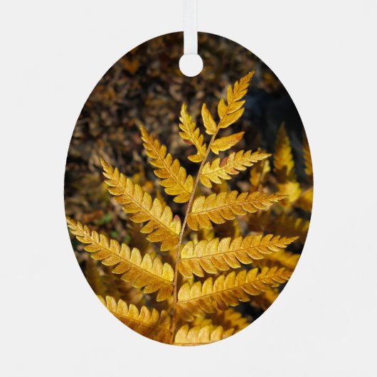 Golden Yellow Fern Leaves Metalen Ornament (Achterkant)