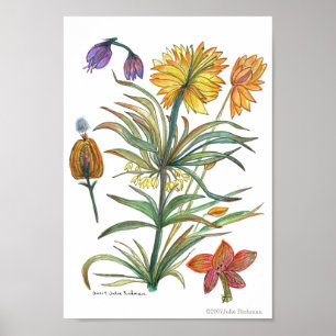 Golden Yellow Flowers 52 Poster-A Poster