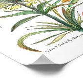 Golden Yellow Flowers 52 Poster-A Poster (Hoek)