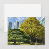 Golden Yellow Ginkgo en pijnboom Briefkaart (Voorkant / Achterkant)