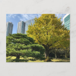 Golden Yellow Ginkgo en pijnboom Briefkaart