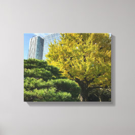 Golden Yellow Ginkgo en pijnboom Canvas Afdruk