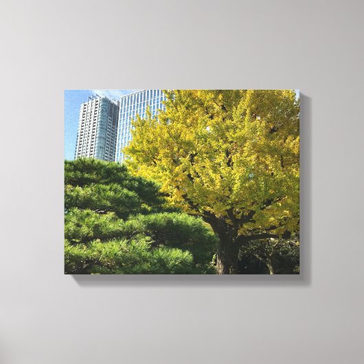 Golden Yellow Ginkgo en pijnboom Canvas Afdruk (Voorkant)
