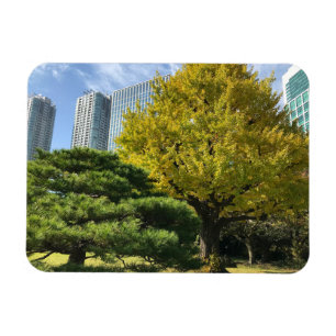 Golden Yellow Ginkgo en pijnboom Magneet