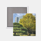 Golden Yellow Ginkgo en pijnboom Magneet (Voorkant / Achterkant)