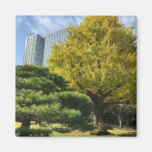 Golden Yellow Ginkgo en pijnboom Magneet