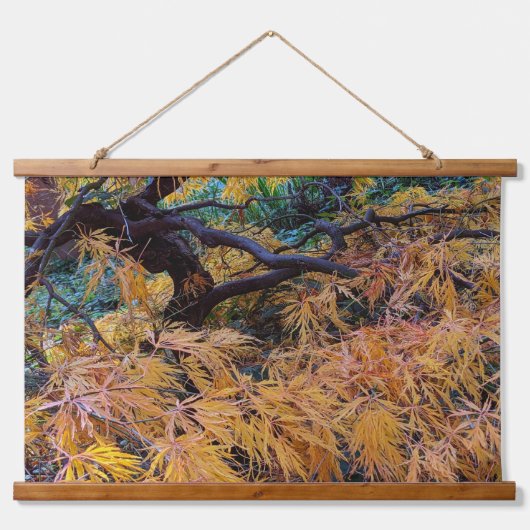 Golden Yellow Laceleaf Japanese Maple Tree Hangend Wandkleed (Voorkant)