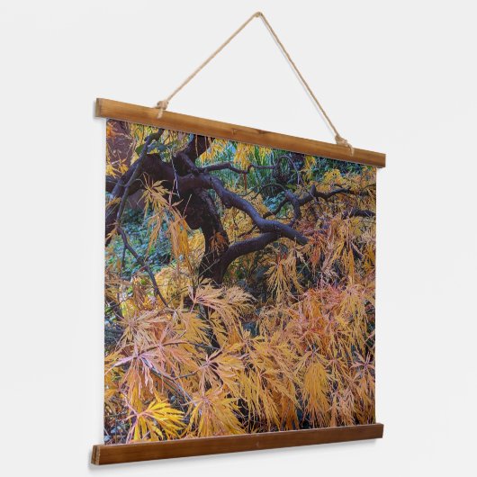 Golden Yellow Laceleaf Japanese Maple Tree Hangend Wandkleed (Gebogen)
