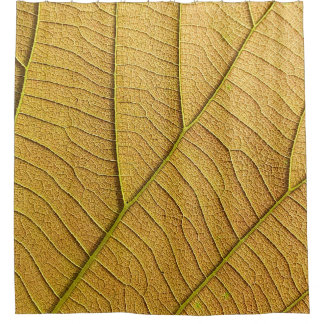 Golden yellow leaf pattern in the morning.  douchegordijn
