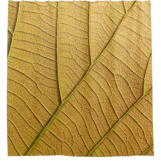 Golden yellow leaf pattern in the morning. douchegordijn (Voorkant)