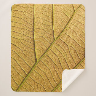 Golden yellow leaf pattern in the morning. sherpa deken