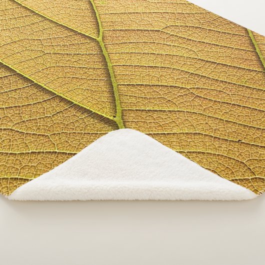 Golden yellow leaf pattern in the morning.  sherpa deken (3/4)