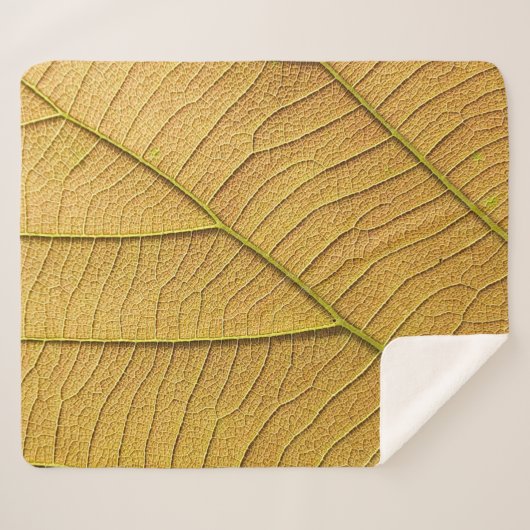 Golden yellow leaf pattern in the morning. sherpa deken (Voorkant (horizontaal))
