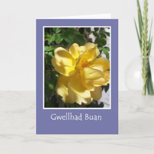 Golden Yellow Rose krijgt goede Kaart, Welsh Greet Kaart