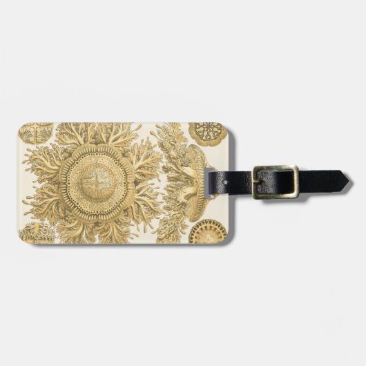 Golden Zee Creats Bagagelabel (Voorkant horizontaal)