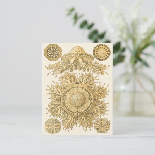 Golden Zee Creats Briefkaart (Staand voorkant)