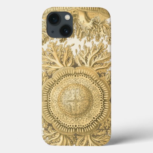 Golden Zee Creats Case-Mate iPhone Case (Achterkant)
