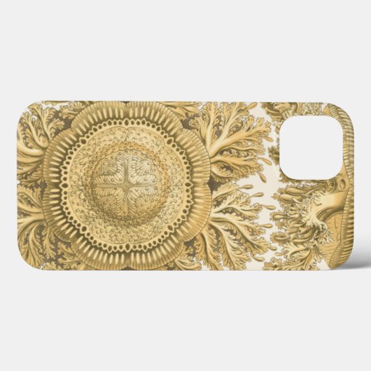 Golden Zee Creats Case-Mate iPhone Case (Achterkant (horizontaal))