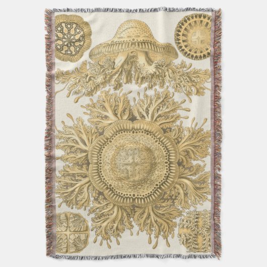 Golden Zee Creats Deken (Voorkant Verticaal)