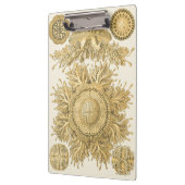 Golden Zee Creats Klembord (Links)