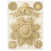 Golden Zee Creats Klembord (Achterkant)