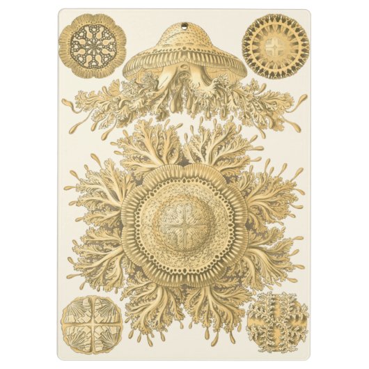 Golden Zee Creats Klembord (Achterkant)